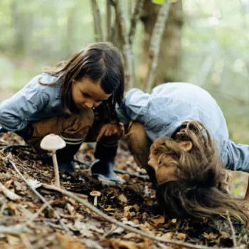 Bos, blaadjes en heel veel paddenstoelen 